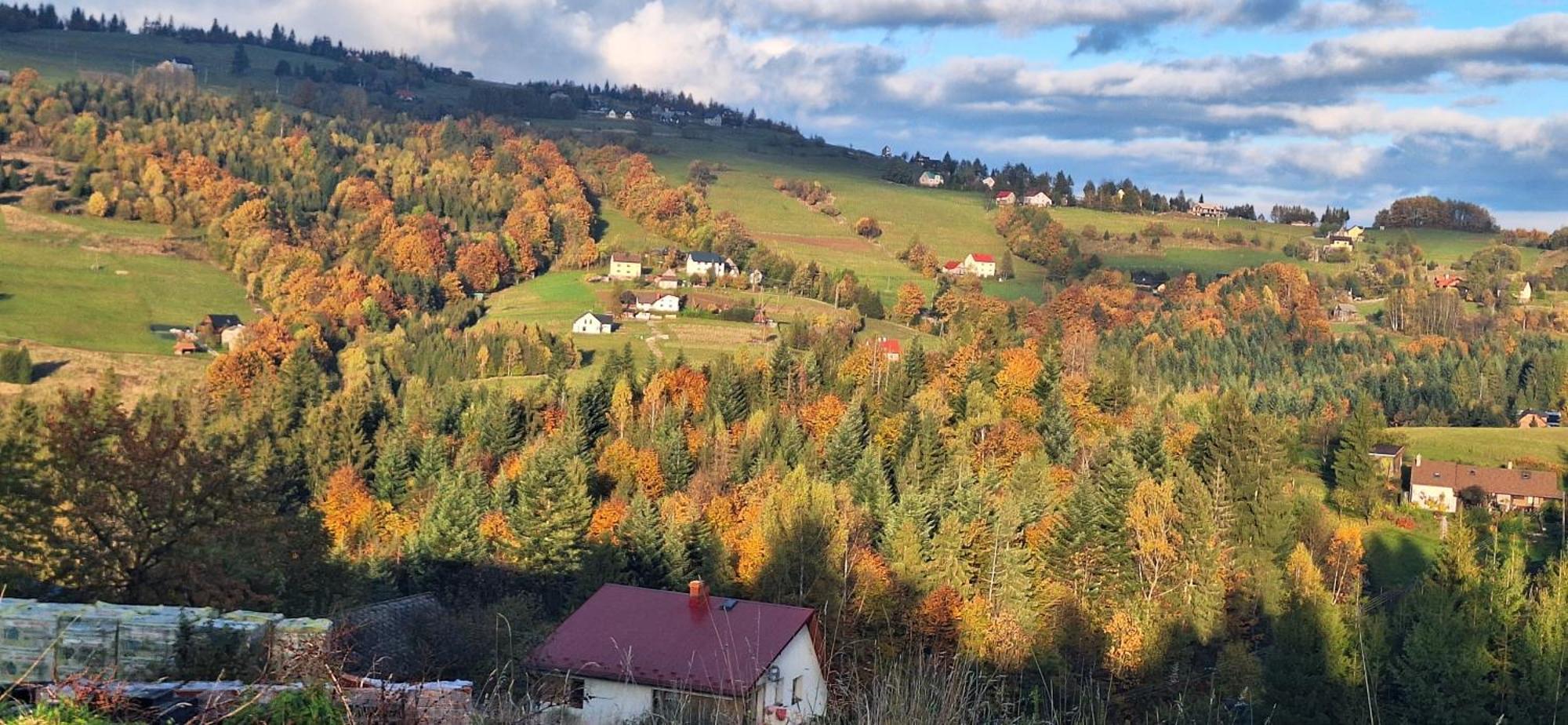 Agroturystyka Koronkowe Zacisze Koniakow Luaran gambar