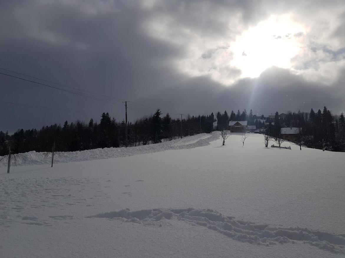 Agroturystyka Koronkowe Zacisze Koniakow Luaran gambar