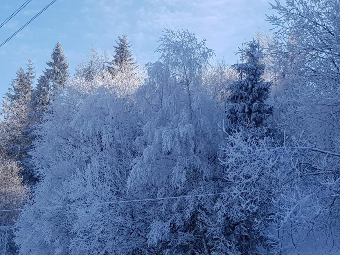 Agroturystyka Koronkowe Zacisze Koniakow Luaran gambar